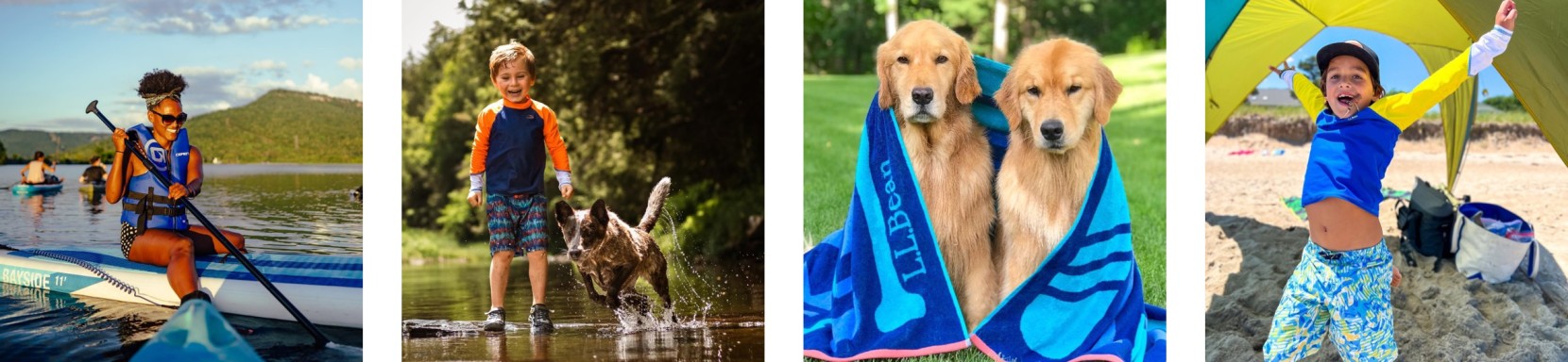 4 images of different people and dogs enjoying summer in various settings.