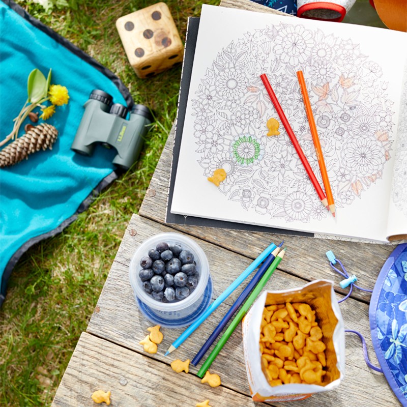 Overhead view of picnic spread with coloring book, binoculars, big dice and fun snacks.