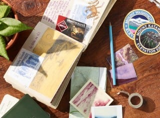 Work table with momentos from multiple National Park trips.