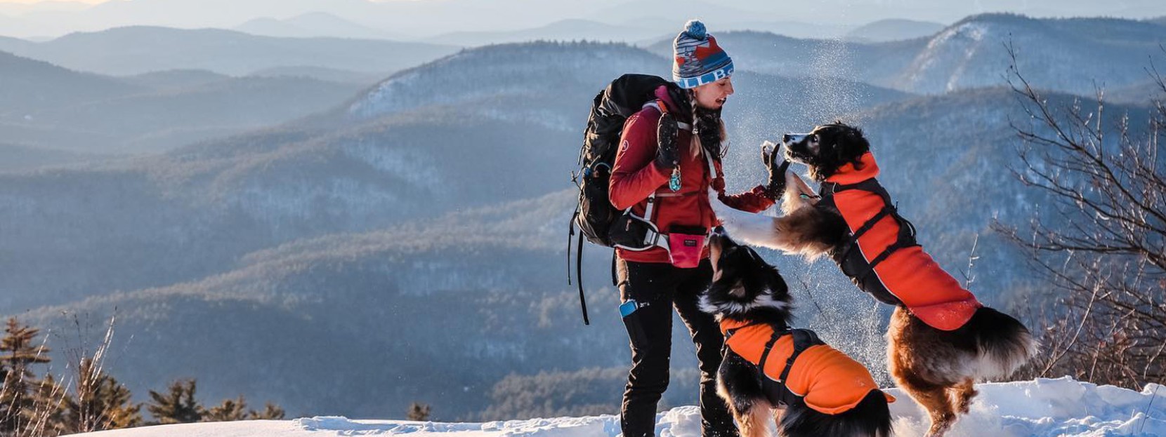 A close-up of a couple and a dog in a tent.